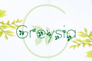 Greysia: A Fresh Typeface for Your Brand