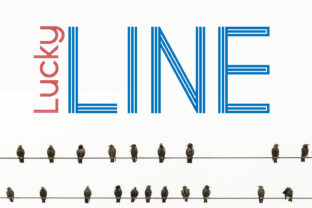 Lucky Line: A Modern Monogram Font for Branding Projects