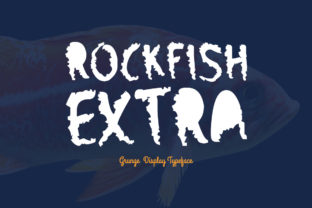 Rockfish Extra: A Display Font for Digital Creativity