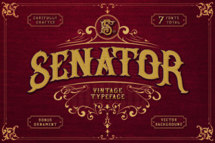 Senator: A Bold Display Font for Modern Web Design